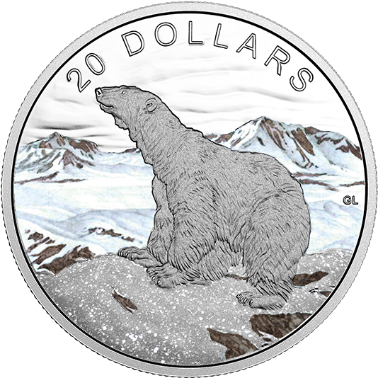 Polar Bear Canada 2017, HD Png Download PNG with transparent background