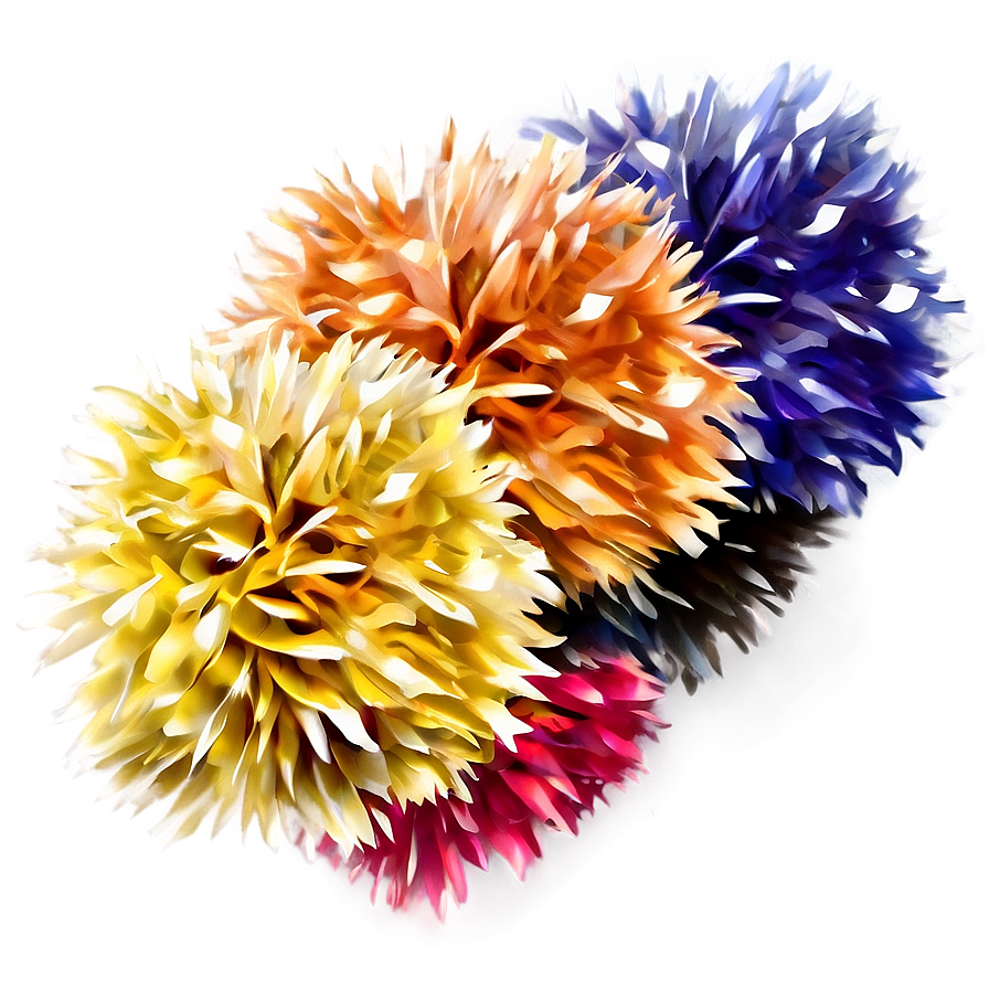 Pom Poms A