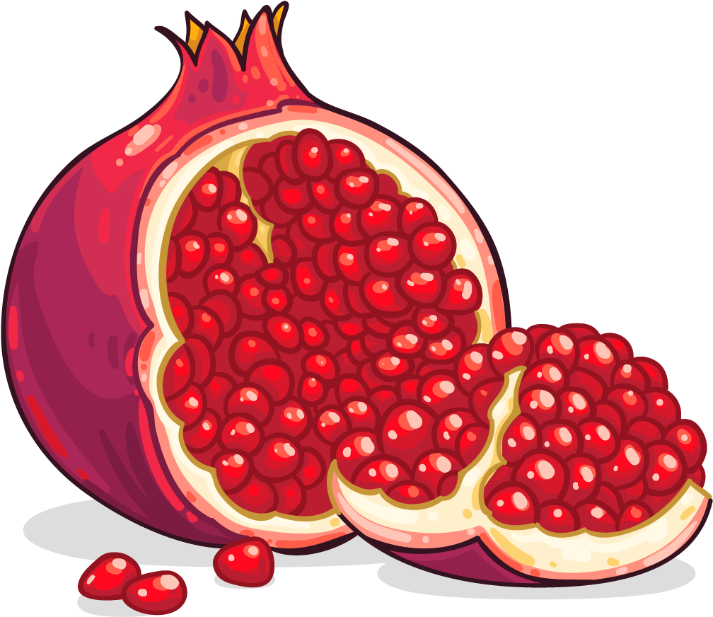 Pomegranate Illustration Cut Open