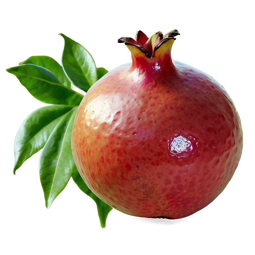 Pomegranate Isolated On White Png Nnh77