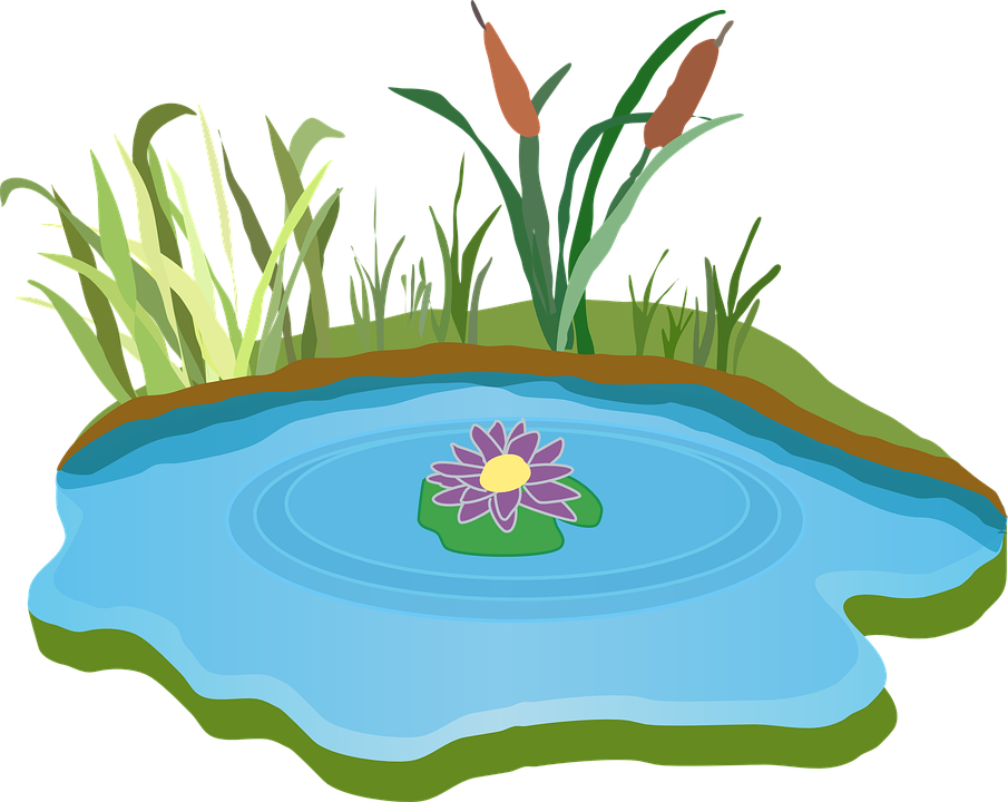 Pond, Water, Outdoor, Grass, Outdoors, Foliage - Lake Clipart, HD Png Download PNG with transparent background