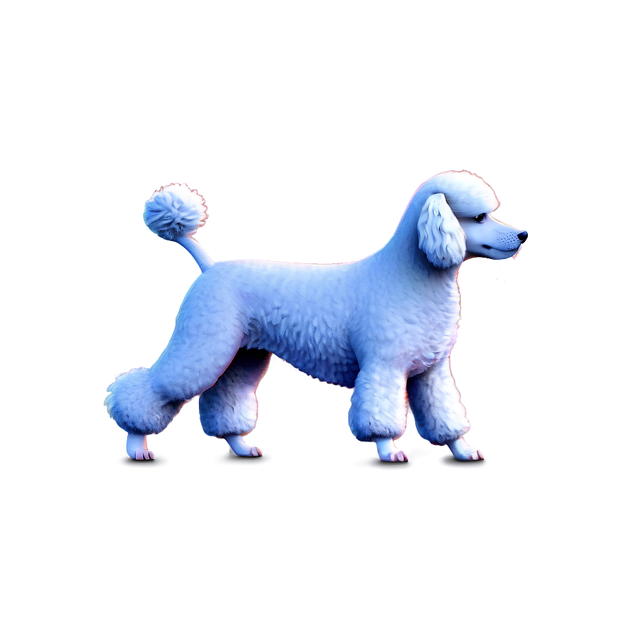 Poodle Dog Illustration PNG 68 PNG with transparent background