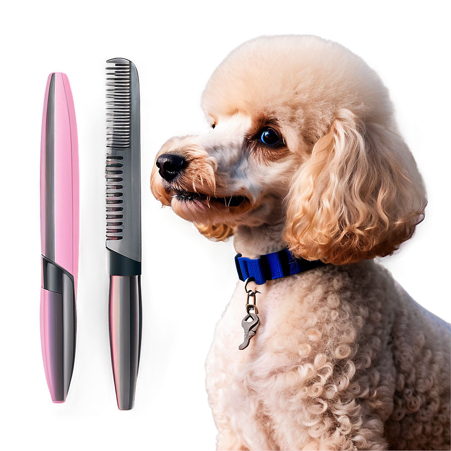 Poodle Haircut Styles PNG djb31 PNG with transparent background
