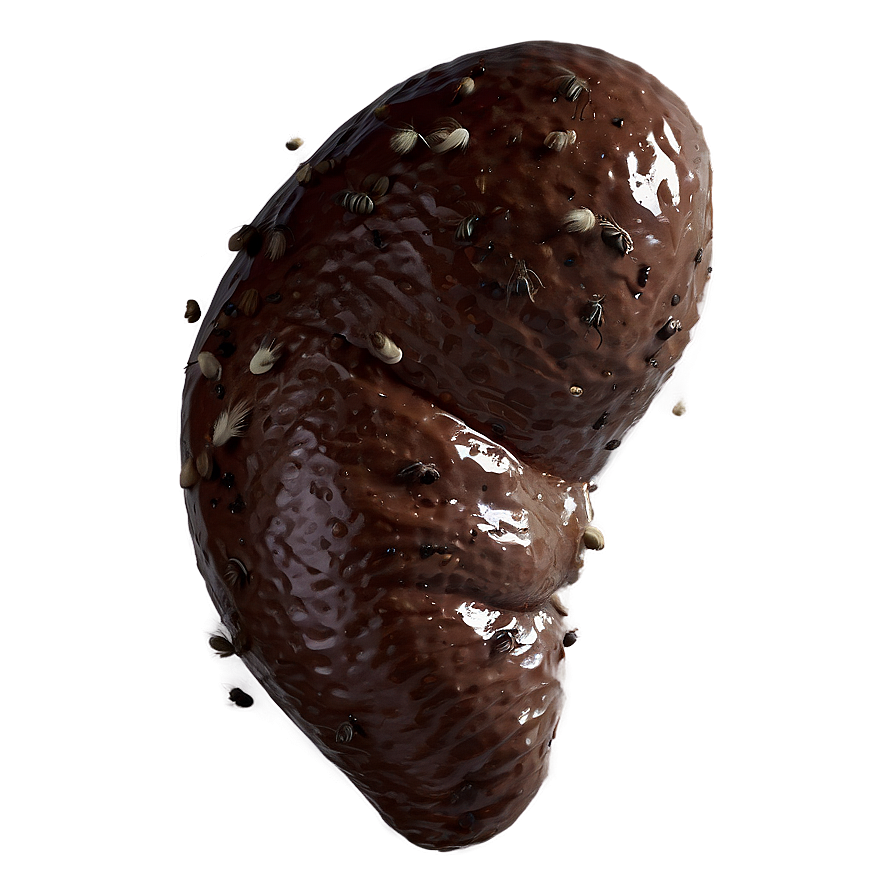 Poop With Flies Png 90