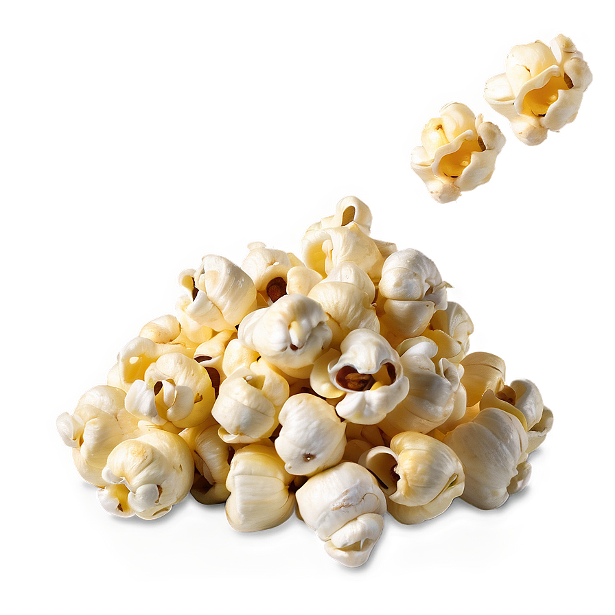 Popcorn Kernel C