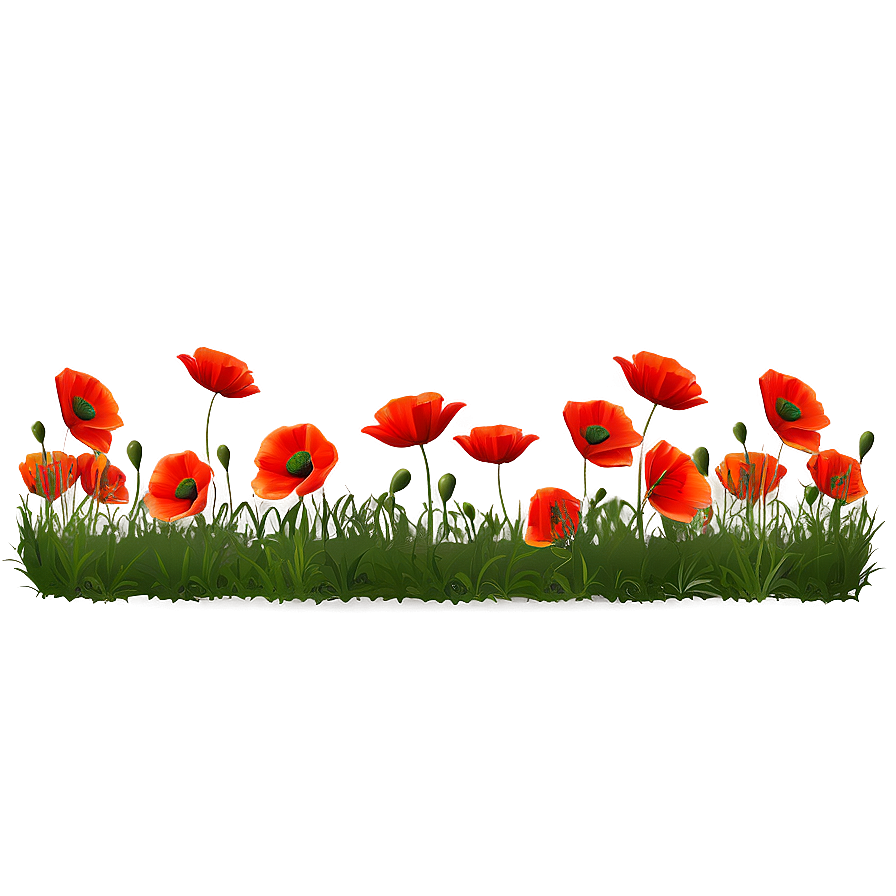 Poppy Field Landscape PNG cki37 PNG with transparent background