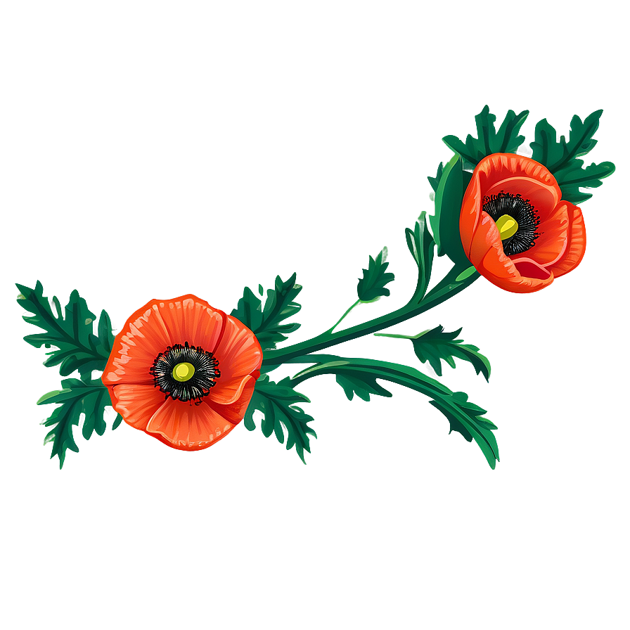 Poppy Floral Border PNG lca PNG with transparent background