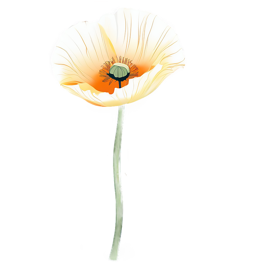 Poppy Flower Outline Png Xrp56