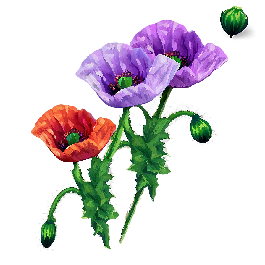 Poppy Flower Sticker Png 93