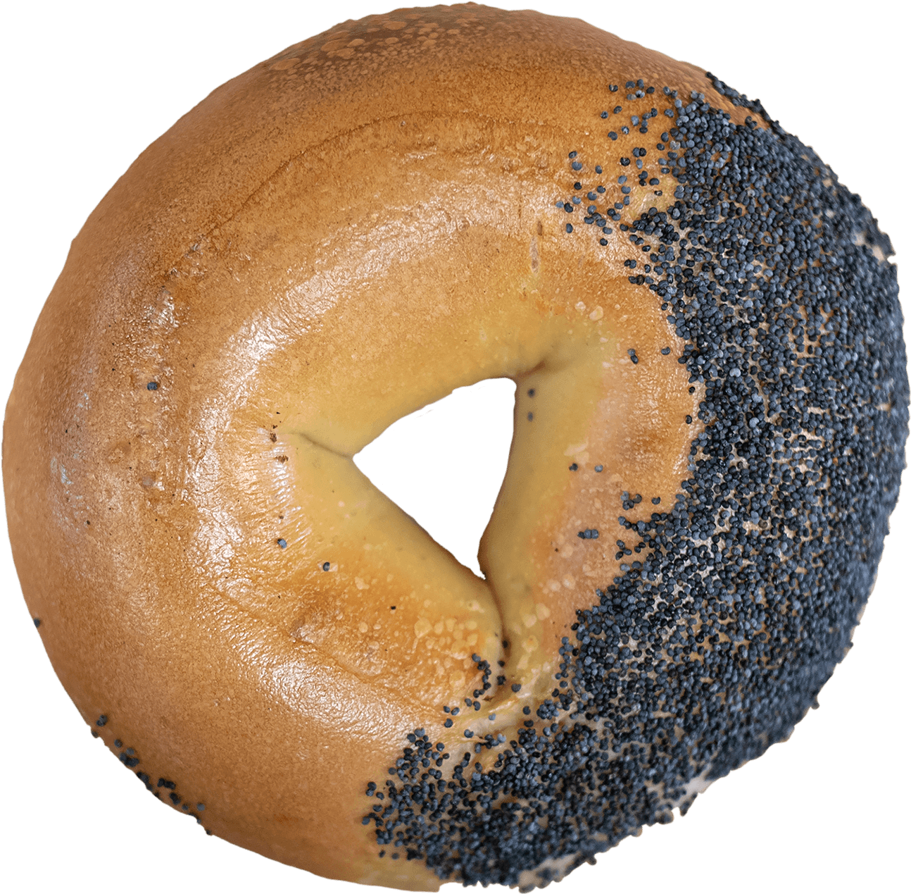 Poppyseed Bagel Closeup