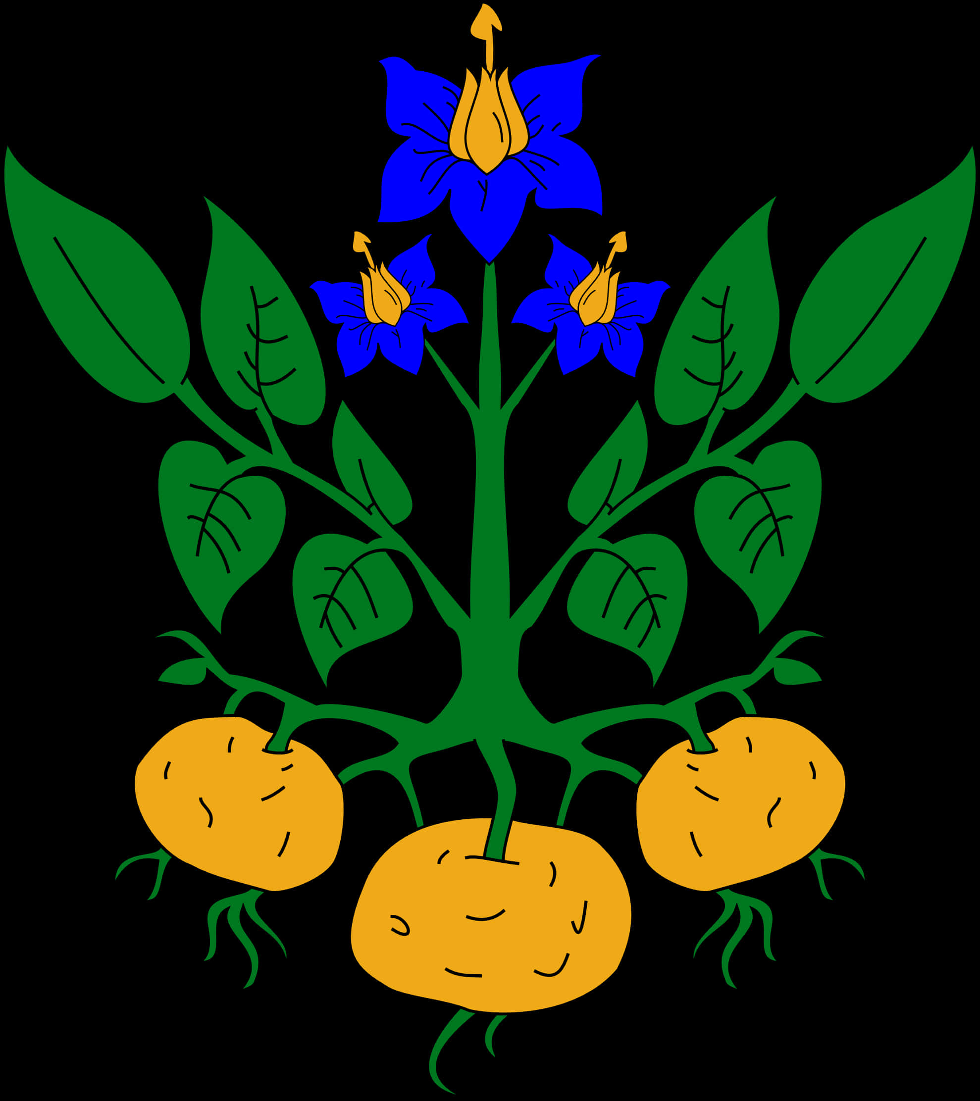 Potato Plant Illustration PNG with transparent background