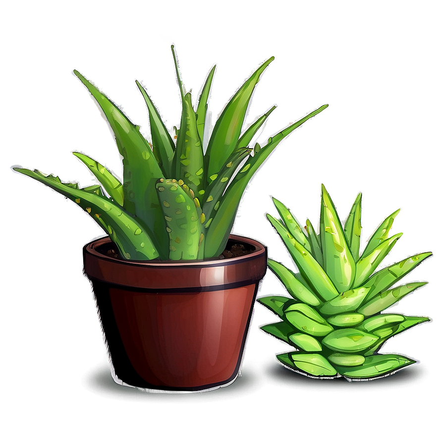 Potted Aloe Vera Plants PNG tec PNG image with a transparent background, free high-resolution download