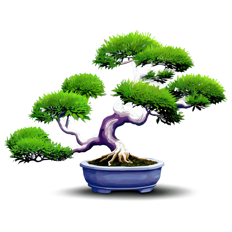 Potted Bonsai Trees Png 06122024