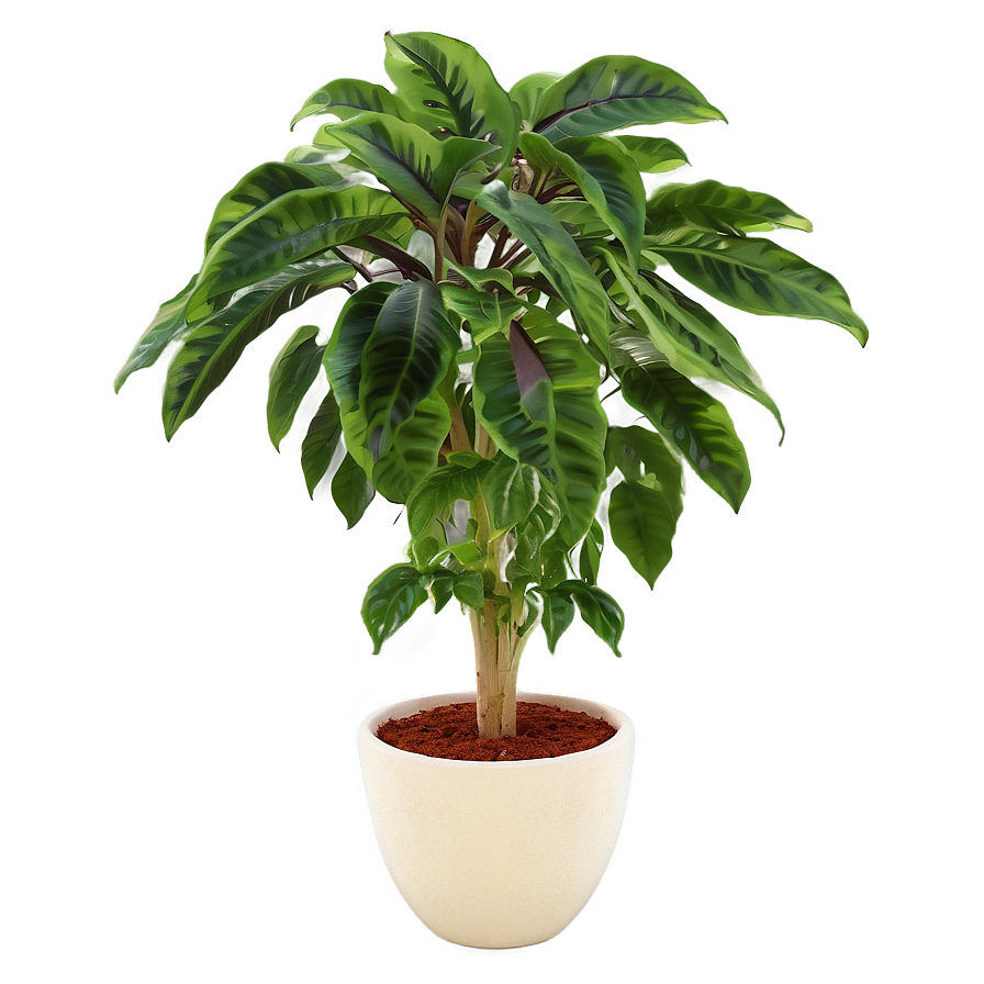 Potted Hanging Plant Png 05252024