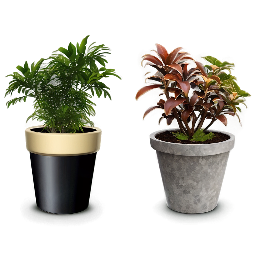 Potted Plant Decoration Ideas PNG aqt PNG image with a transparent background, free high-resolution download