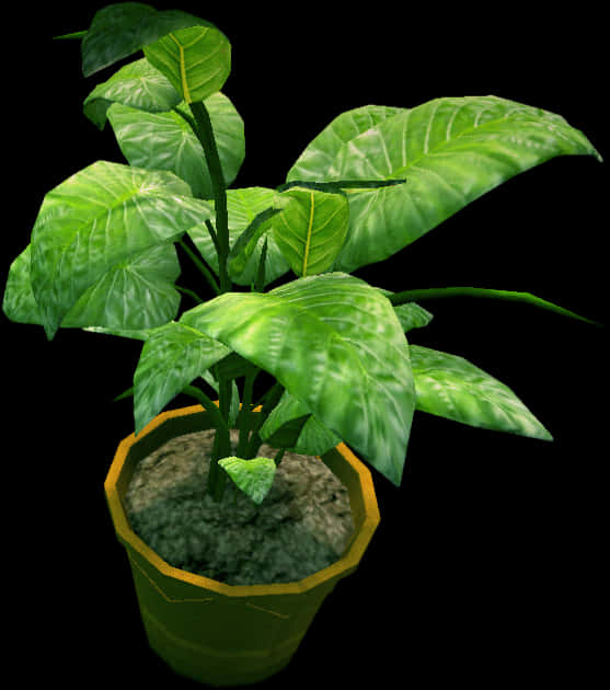 Potted Plant Green Leaves3 D Model