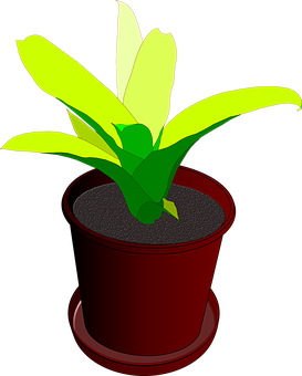 Potted Plant Illustration PNG with transparent background