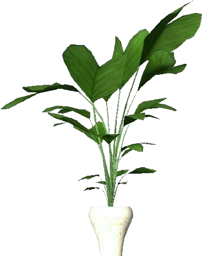 Potted Plant Interior Decor PNG with transparent background