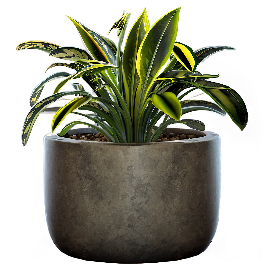 Potted Plant Pot Designs Png 21