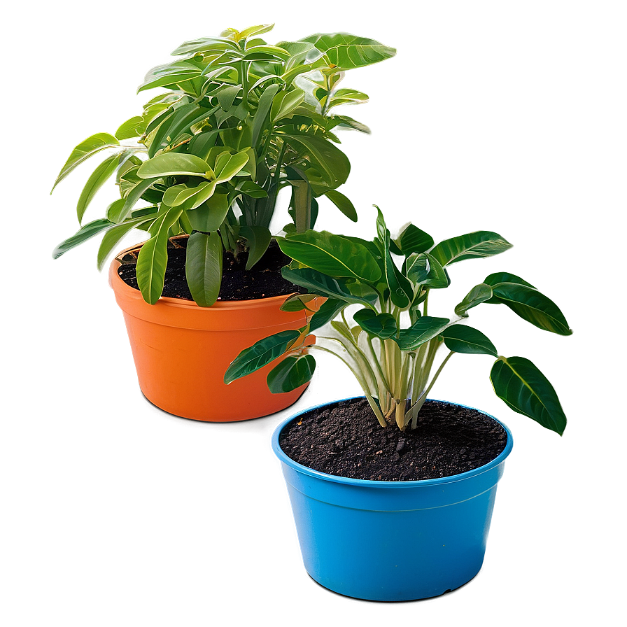 Potted Plant Soil Mixes Png Lhd68