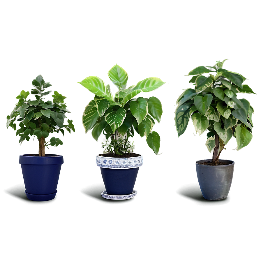 Potted Vine Plants Png 78