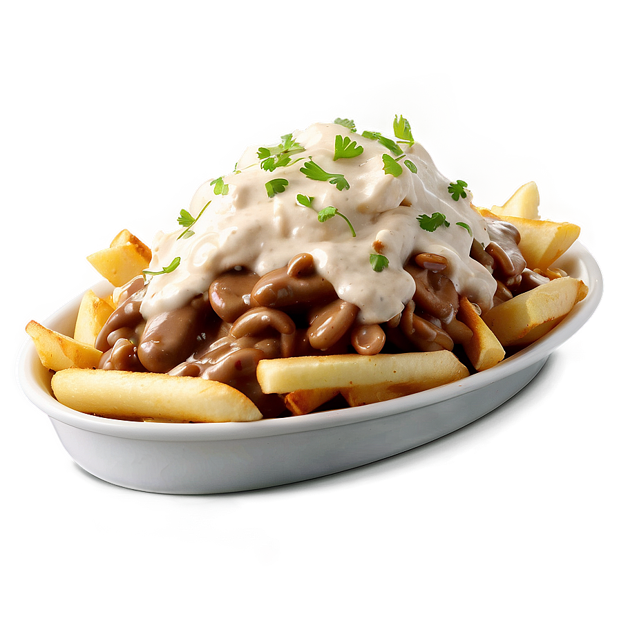 Poutine With Stroganoff Sauce Png 06252024