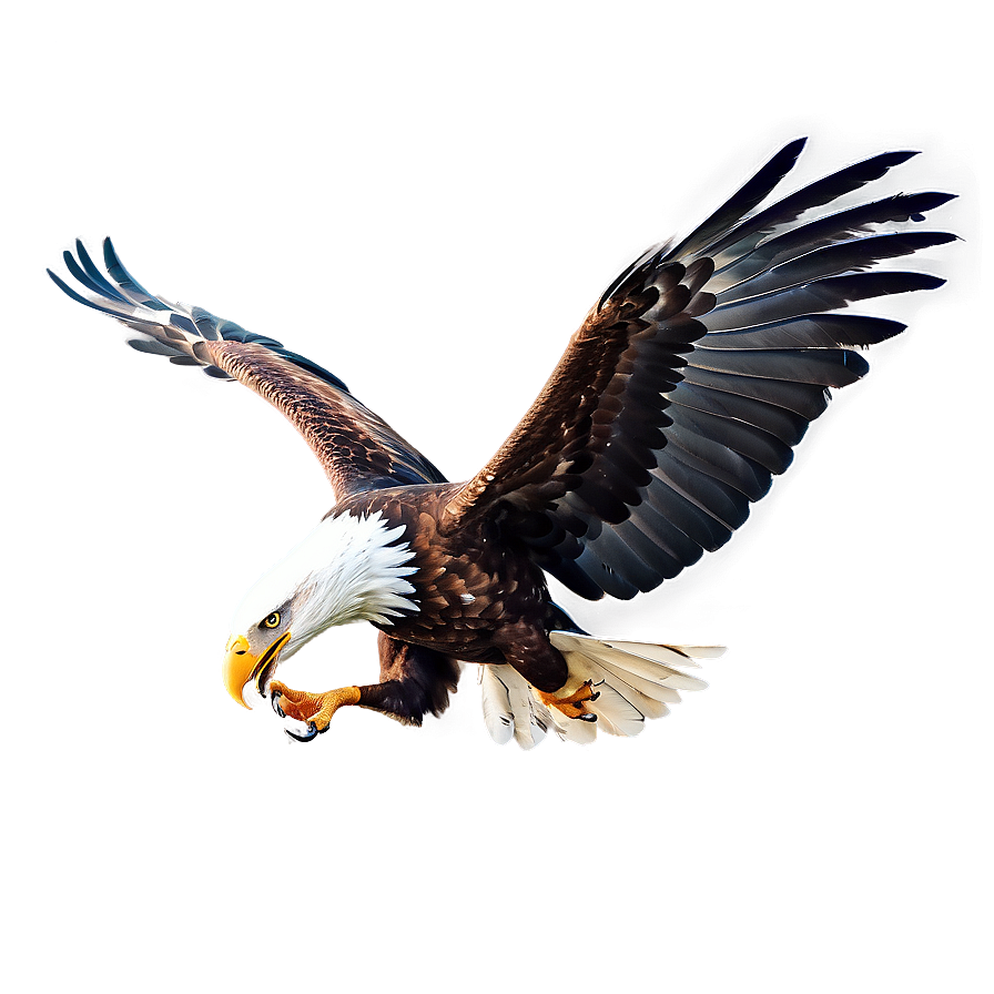 Powerful Eagle Swooping Png 10