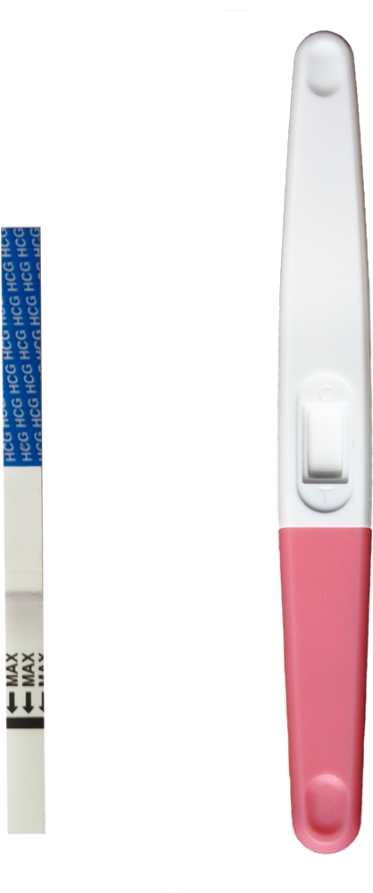 Early Pregnancy Tests, HD Png Download PNG with transparent background