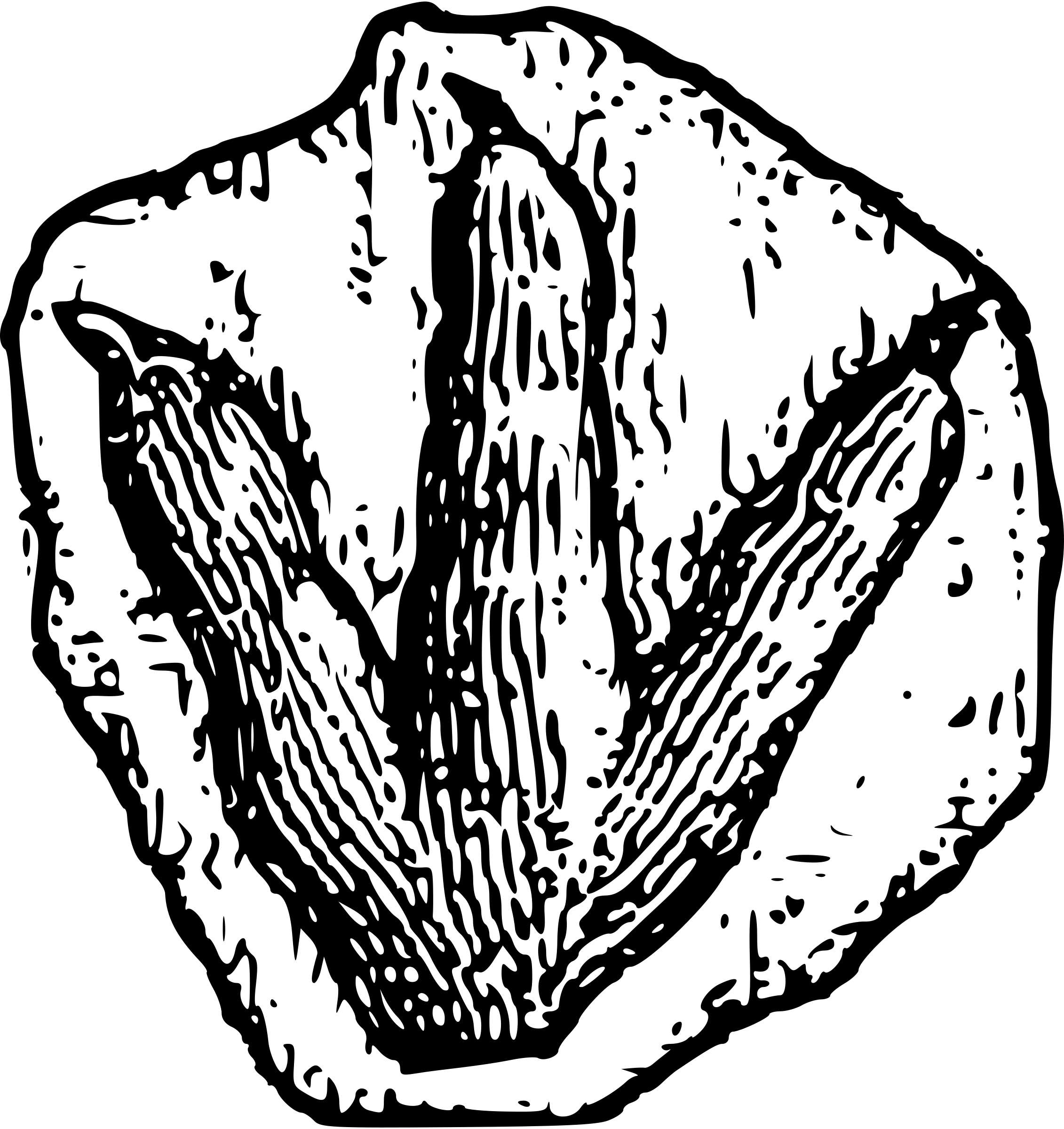 Gms Junior Section Footprint - Dinosaur Footprint Clipart, HD Png Download PNG with transparent background
