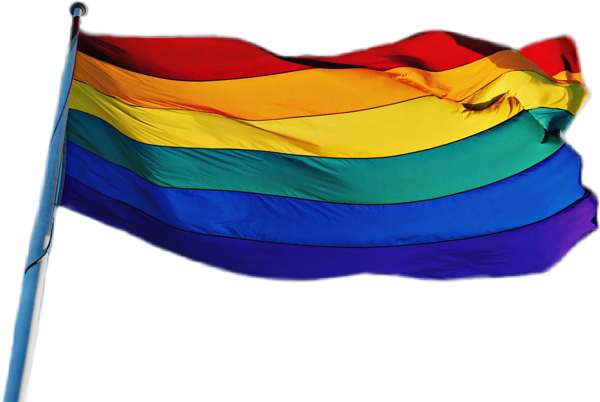 Clip Art Bandeira Lgbt Png - Bandeira Lgbt Png, Transparent Png PNG with transparent background