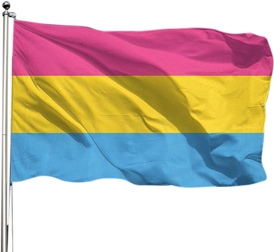 Pansexual Pride Flag, HD Png Download PNG with transparent background