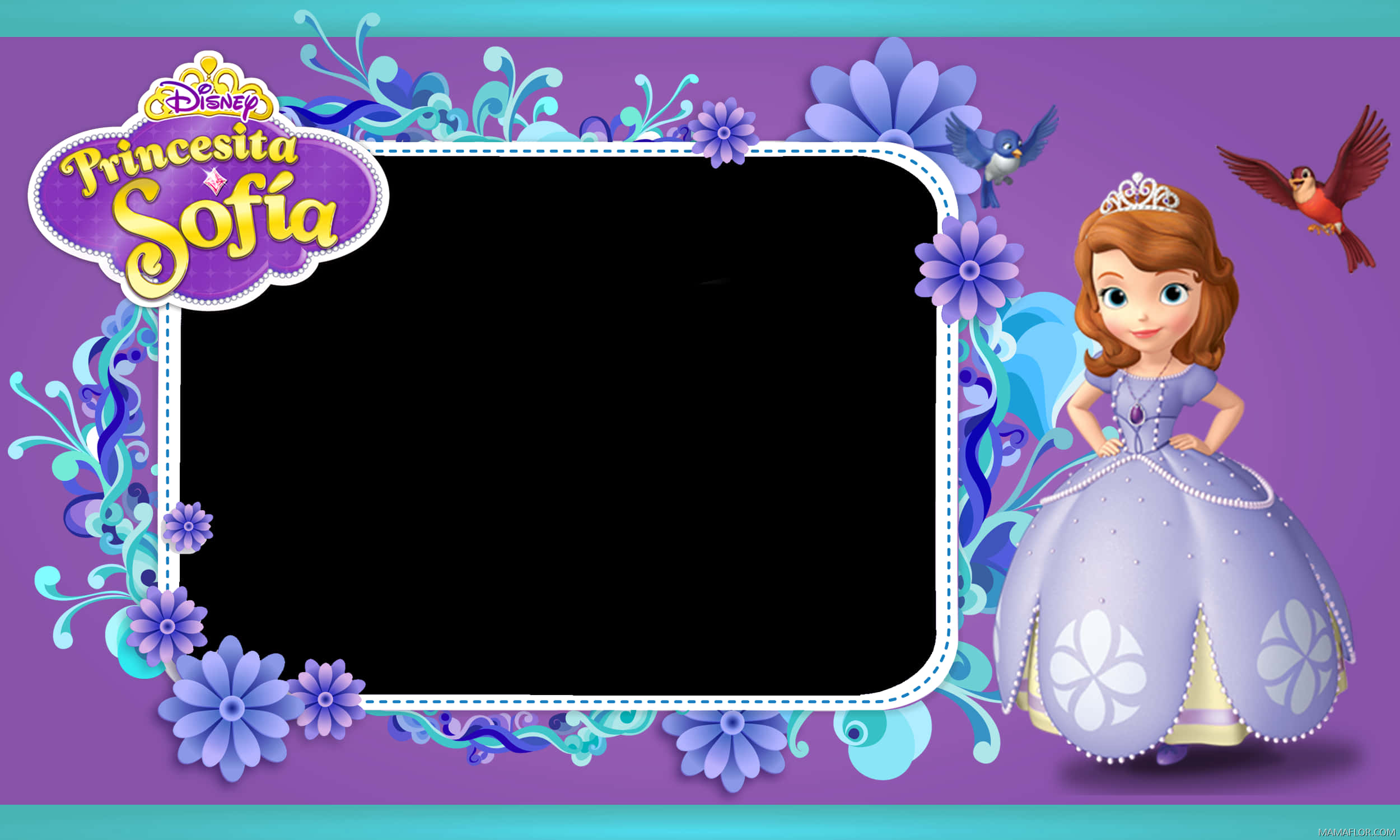 Princesita Sofia Frame Design