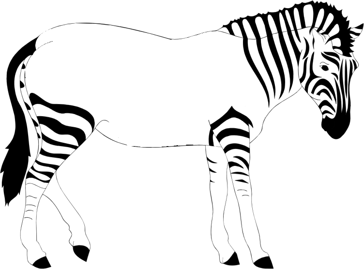 Print Out The Zebra - Zebra Lost His Stripes, HD Png Download PNG with transparent background
