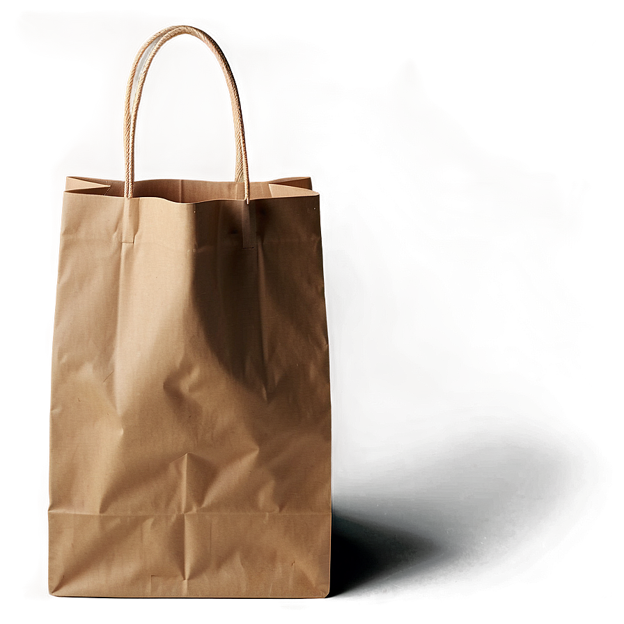 Printed Brown Paper Bag Png 06282024