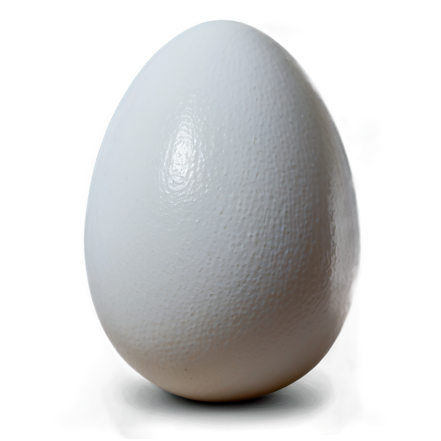 Pristine White Egg Png 06292024