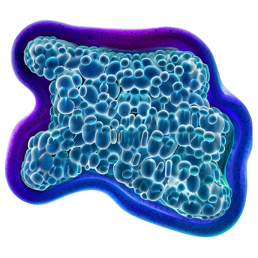 Probiotic Bacteria Png 05242024