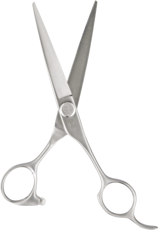 Professional Barber Scissors