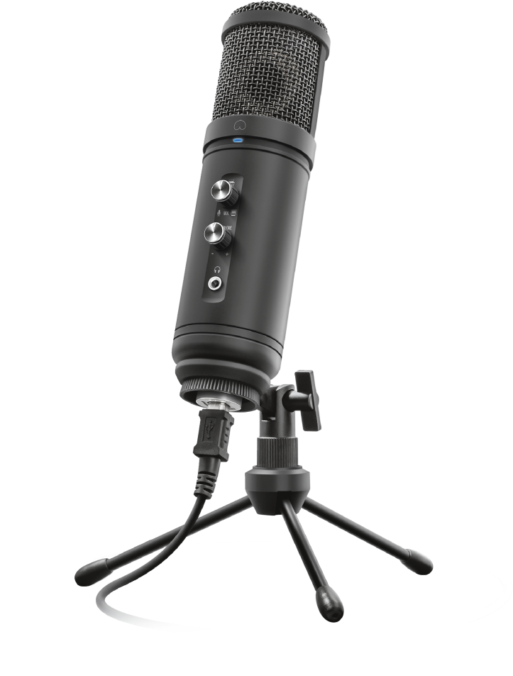 Professional Black Studio Microphone