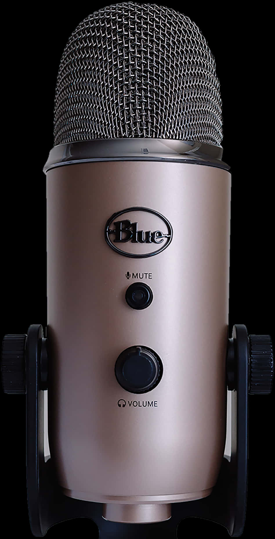 Professional Blue Microphone Studio Equipment