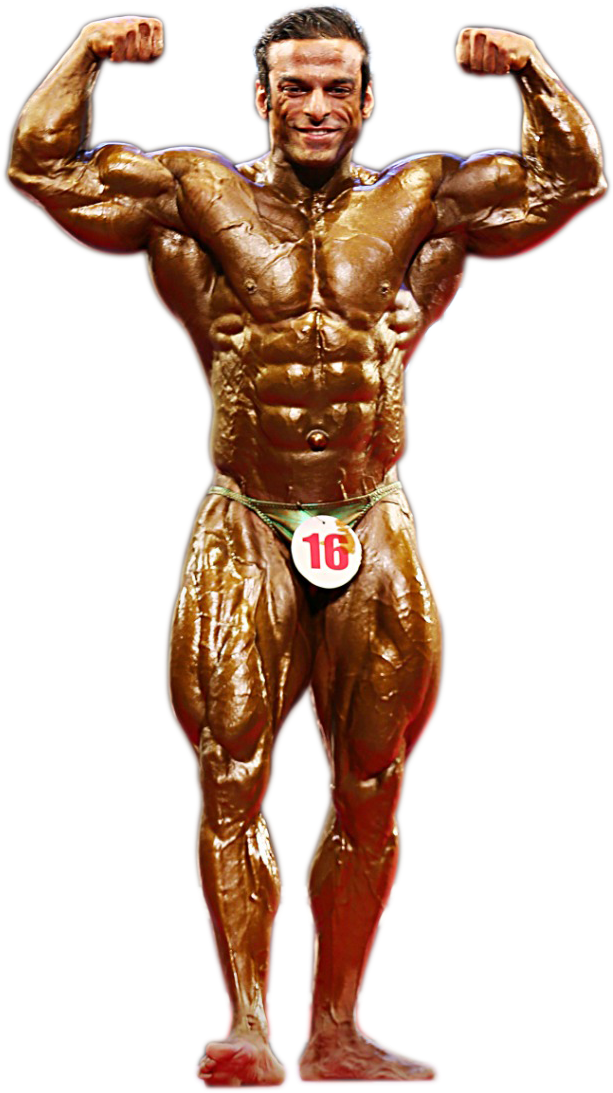 Null - Bodybuilding, HD Png Download PNG with transparent background