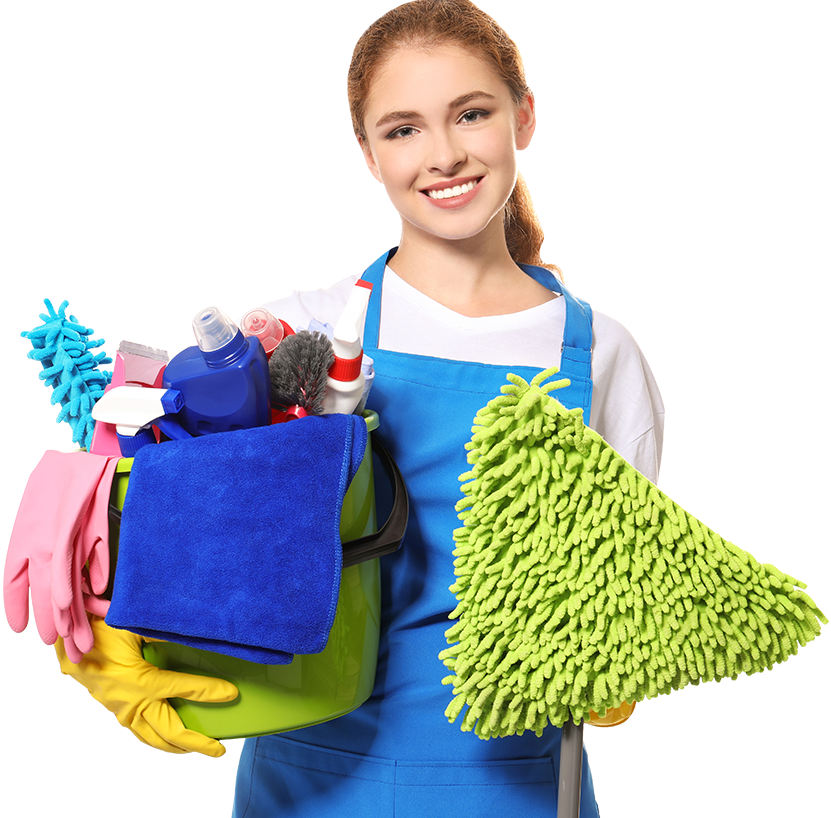 Professional Cleanerwith Supplies