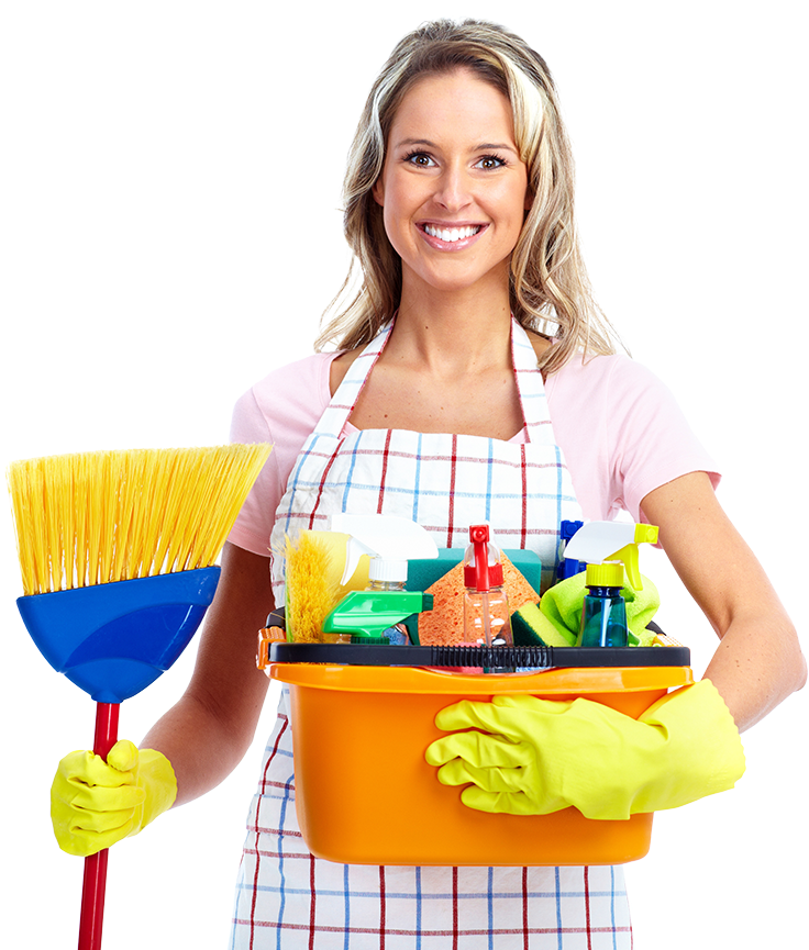 Professional Cleaning Service Expert