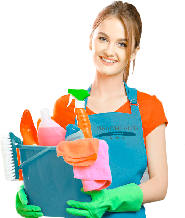 Professional Cleaning Service Worker