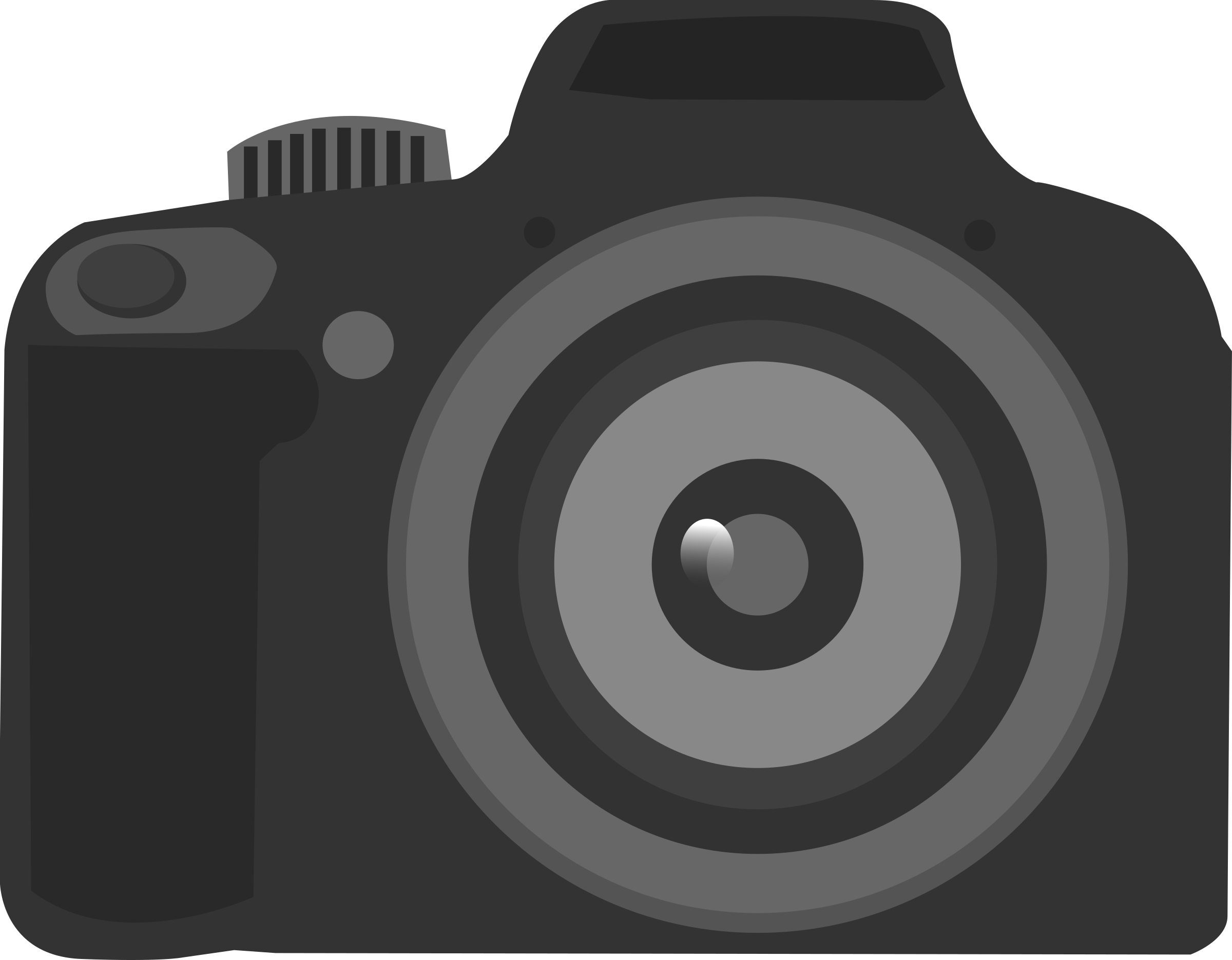 Professional D S L R Camera Vector