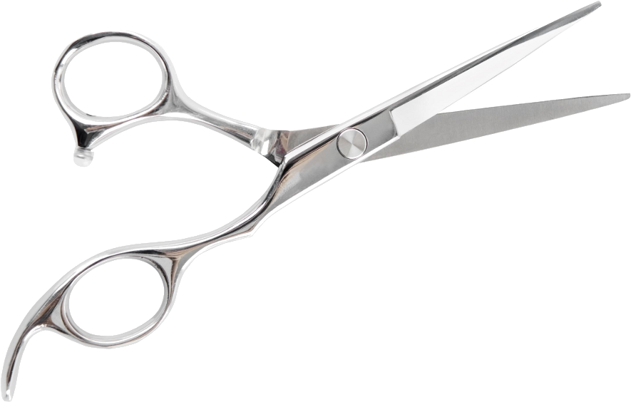 Professional Hairdressing Scissors