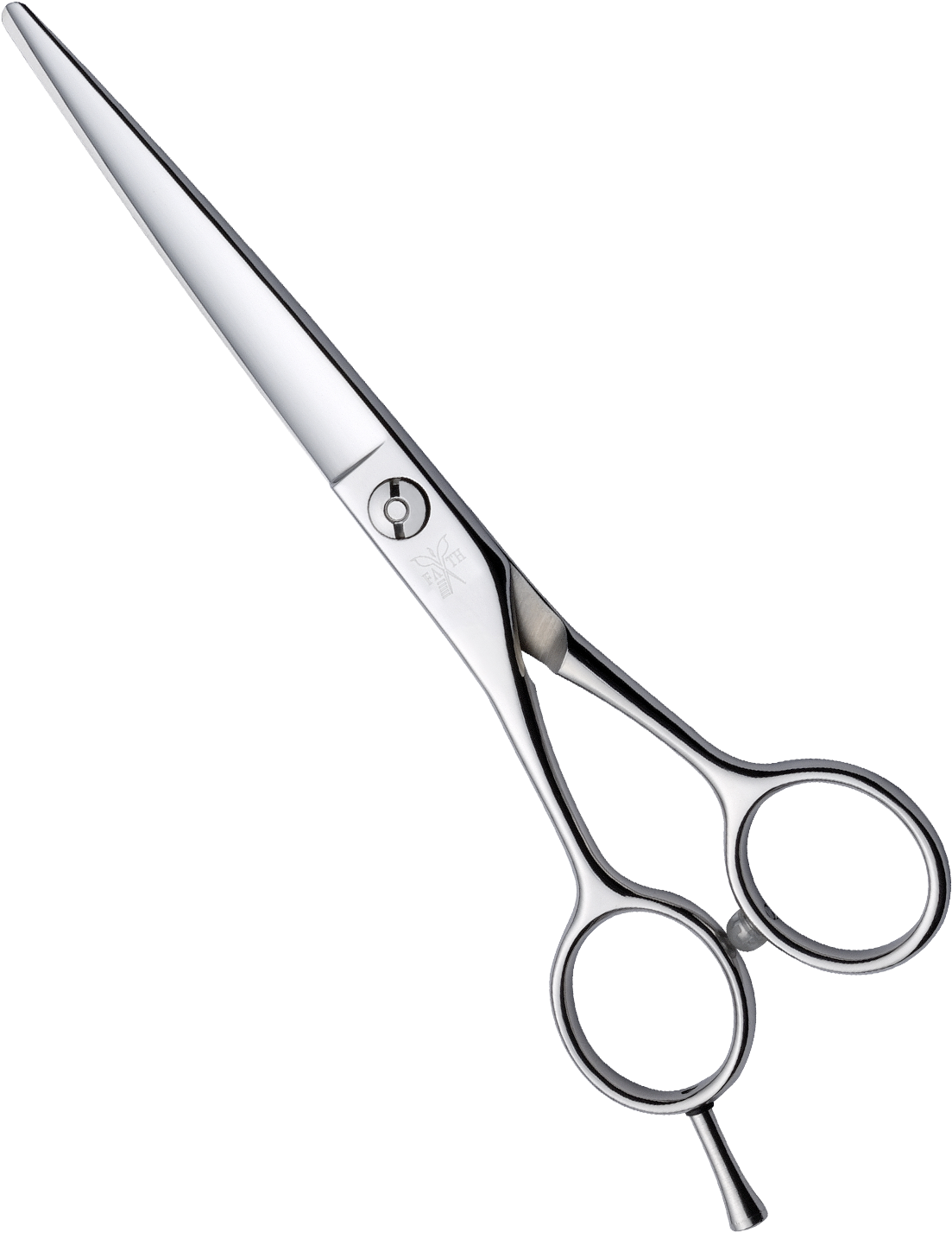 Professional Hairdressing Scissors