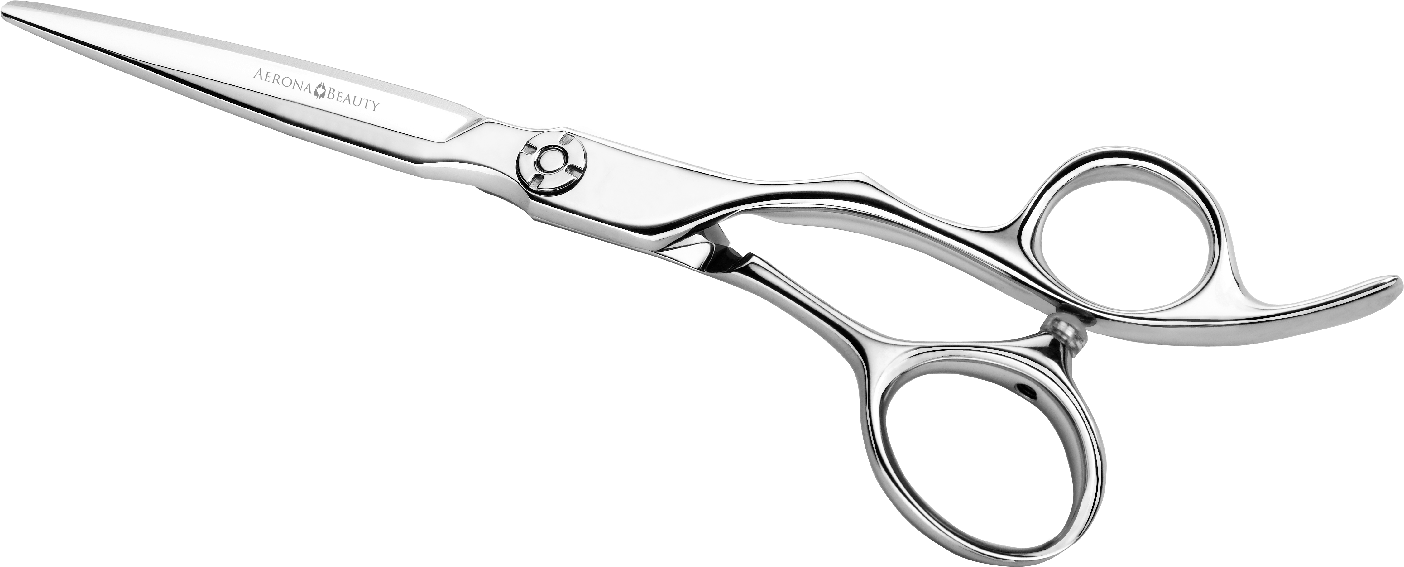 Professional Hairdressing Scissors