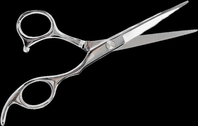 Professional Hairdressing Scissors