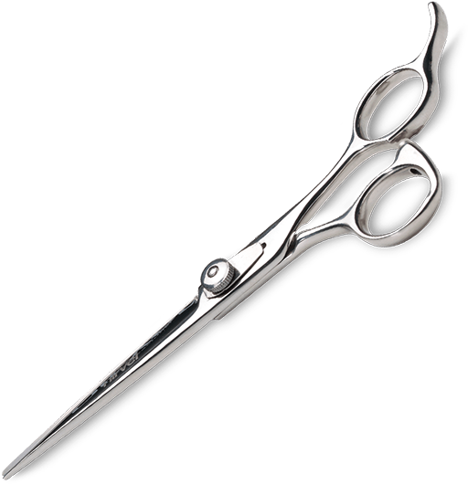 Professional Hairdressing Scissors