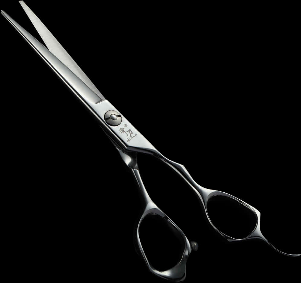 Professional Hairdressing Scissorson Black